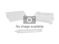 Xerox Phaser 7800 - Filtre d'aspiration - pour Phaser 7800 108R01037