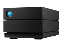 LaCie 2big RAID STHJ40000800 - Baie de disques - 40 To - 2 Baies (SATA-600) - HDD 20 To x 2 - USB 3.2 Gen 2 (externe) - avec Plan de service de récupération des données d'une durée de 5 ans STHJ40000800