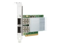 Intel E810-CQDA2 - Adaptateur réseau - PCIe 4.0 x16 - 100 Gigabit QSFP28 x 2 - pour Edgeline e920; ProLiant DL325 Gen10, DL345 Gen10, DL360 Gen10, DL380 Gen10, DL385 Gen10 P21112-B21